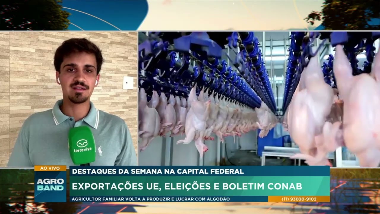União Europeia avalia retomada do Brasil na lista de exportadores de frango e mel