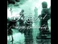 05 - When Light Will Dawn - Funeral 
