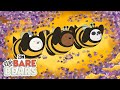 Beehive Preview | We Bare Bears | Cartoon Network