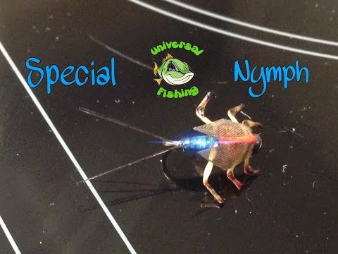Special nymph