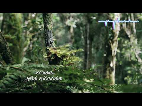 Thaniwenna Ida Denna | තනි වෙන්න ඉඩ දෙන්න | Ajith Ariyarathne | With Sinhala Lyrics