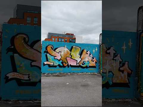 KID ACNE Graffiti #art #artist #painting #new #newvideo #shorts