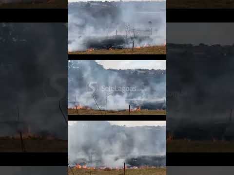 Incêndio atinge área de revegetação em Sete Lagoas