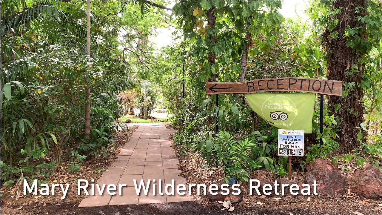 Explore the rich wildlife and calm beauty of Mary River National Park.