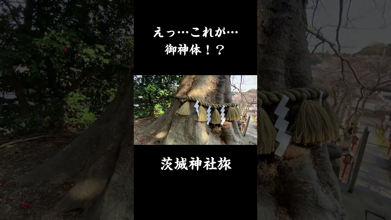 えっ！これが御神体？となる神社がある…