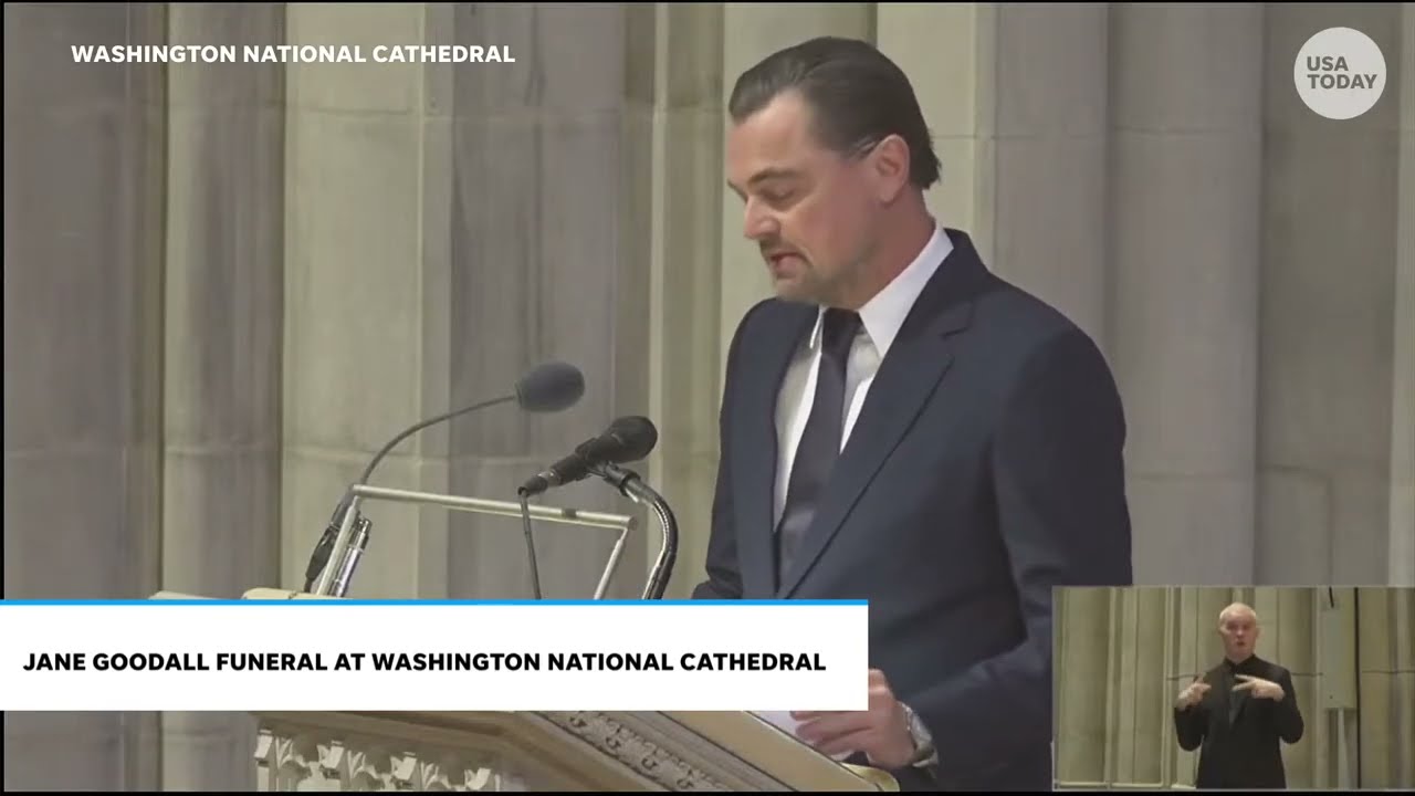 Leonardo DiCaprio speech at Jane Goodall funeral pays tribute to 'a true hero to the planet'