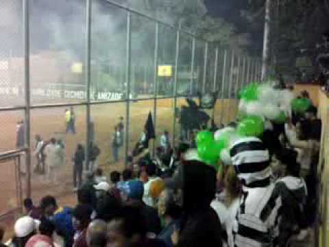 torcidas Palmeirinha e 100 Querer na Copa da Paz 2010