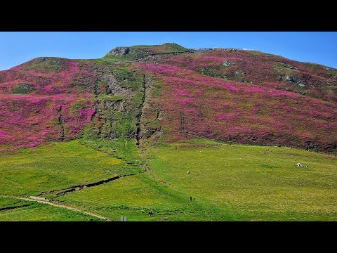 Traseu montan • Piatra Arsă - Muntele Furnica - Vârful cu Dor • Bucegi •