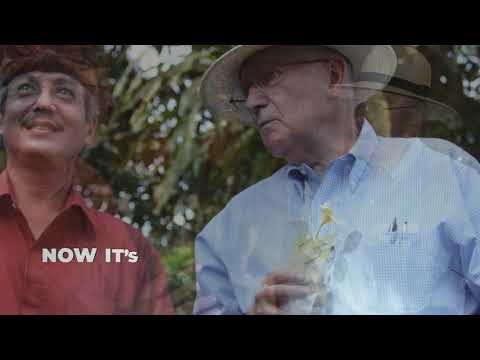 Happy Birthday Philip Kotler by Jacky Mussry