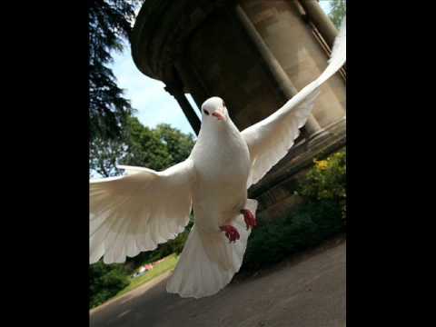 Respighi - Gli Uccelli ("The Birds") - (1/2)