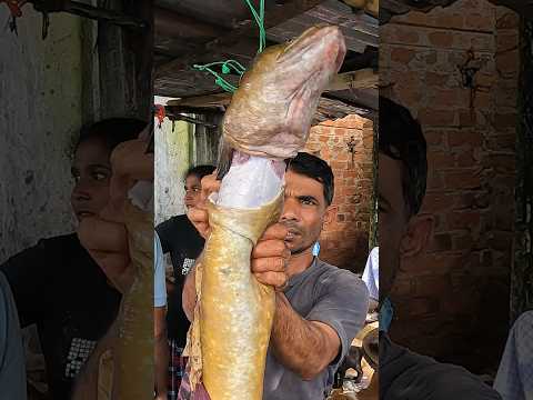 Nice!! Long Eel Fish Cutting In Village