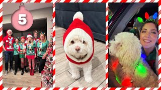VLOGMAS 2025 ❄ Day 5 | Rockin' Christmas World of Illumination with the Family (Including Pups!)