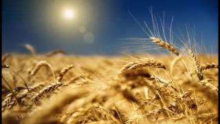 Un Giorno vedrai...Aldo Live