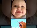 Cutest Baby Song Viral Video Part 2 Funny Baby Video Da Da Da Baby Viral Song