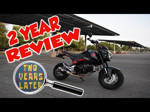 Honda Grom - EVERYTHING You Need to Know
