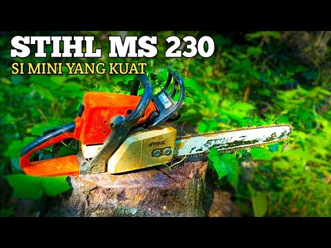 STIHL MS 230 CHAINSAW MENEBANG POHON MANGGA