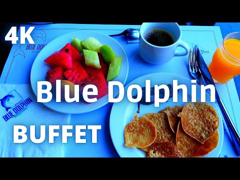 BLUE DOLPHIN CHALKIDIKI -  BUFFET -  BREAKFAST AND DINNER