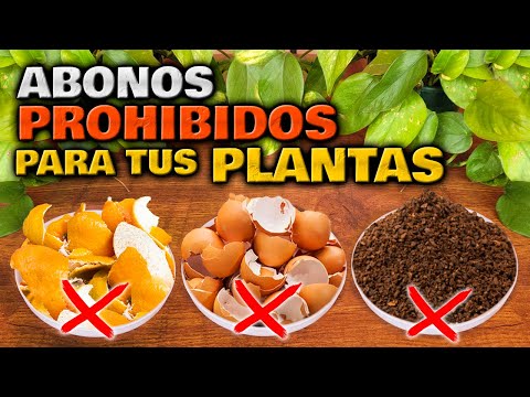 , title : '¡CUIDADO! Estos ABONOS CASEROS son PELIGROSOS para tus PLANTAS | Abono Casero Jardin o Huerto Urbano'