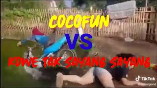 Download lagu KOWE TAK SAYANG SAYANG LUCU, KOMPILASI COCOFUN STORY WA BIKIN SANGE || vidio lucu mp3