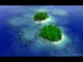 Baha Men - Gin & Coconut Water (Jelly)