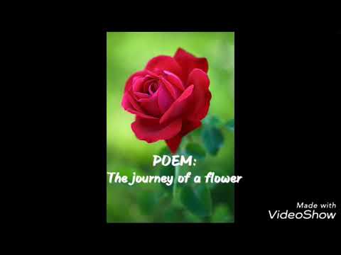 The Journey of a Flower poem