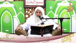 النور الساري ـ البخاري ( 215 ) باب هل يخرج من المسجد لعلة؟ ـ الشيخ مصطفى العدوي تاريخ 24  11 2024