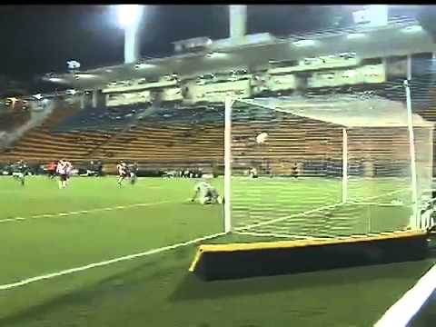 Palmeiras 2 x 0 Botafogo-SP | Gols | Campeonato Paulista 2013
