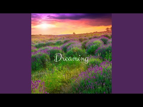 download lagu mp3 mp4 Seagull Melody, download lagu Seagull Melody gratis, unduh video klip Seagull Melody