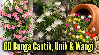 Download lagu Getting to Know 60 Types of Flowers, From the Prettiest to the Most Fragrant mp3 Download lagu Getting to Know 60 Types of Flowers, From the Prettiest to the Most Fragrant mp3