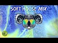 Upbeat Study Music Soft House Mix - Peak Focus Beta Isochronic Tones