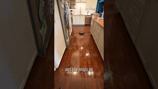 Download lagu Robot Vacuum Minor Woes mp3