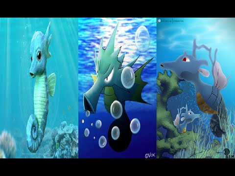 Pokémon: Horsea Family Scientific Analysis