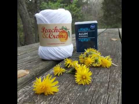 download lagu mp3 mp4 Dandelion Natural Dye, download lagu Dandelion Natural Dye gratis, unduh video klip Dandelion Natural Dye