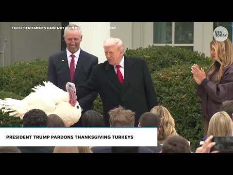 川普在白宮感恩節儀式上特赦了名字叫「Gobble」的火雞！ (Trump pardons turkey named 'Gobble' at White House Thanksgiving ceremony)