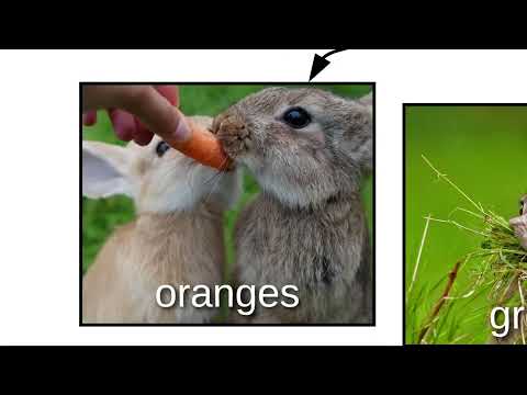 Bunnos, Buns, & Wabbits