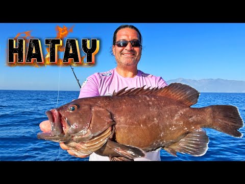 Hatay Depremi Sonrası Balıklar Nerede?