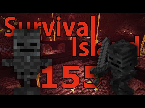 Minecraft- Survival Island [155] Wither Hunt!