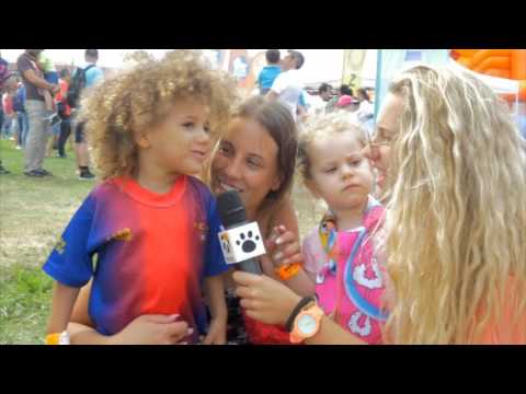 Panda Flash - Festival Panda 2017 Porto