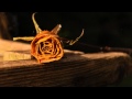 Pacific Air - Roses 