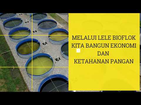 Anak laki-laki trans dengan penis kecil Exciter untuk efek dari gadis-gadis video yang