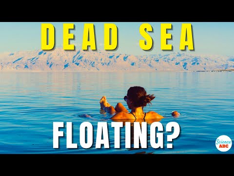 Why Is It Called "Dead" Sea? Why Does Everyone Float In This Sea?