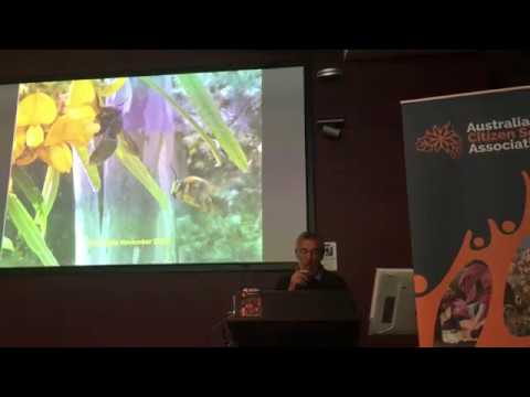 The Bee In The Gardens - ACSA ACT & Region Chapter Launch