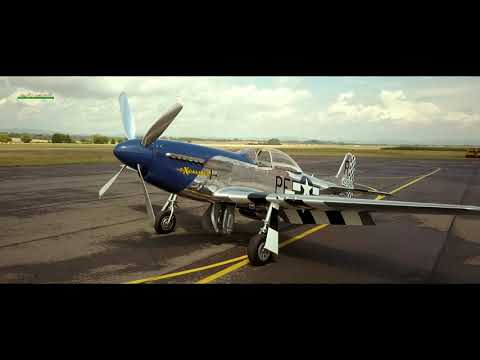 P-51D Mustang by Eduard