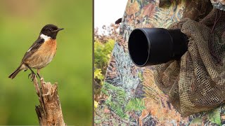 Photography Hide for Getting Close to Birds | Tragopan V6 Photo Blind