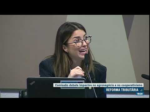 CCJ debateu impactos da reforma tributária no agronegócio