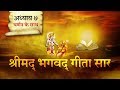 श्रीमद भगवत गीता सार अध्याय 7 Shrimad Bhagawad Geeta W