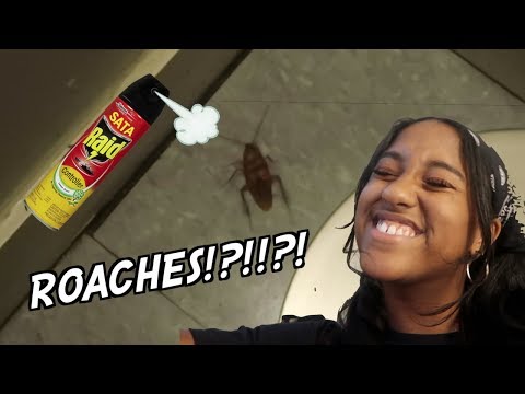 ROACHES IN OUR DORM!? *Live footage*