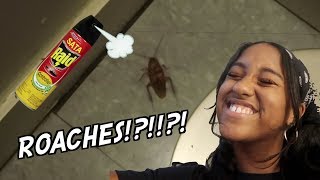ROACHES IN OUR DORM!? *Live footage*