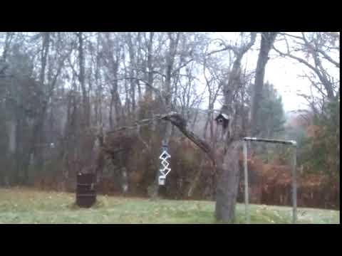 Winter is knocking: Snow falls in Athol