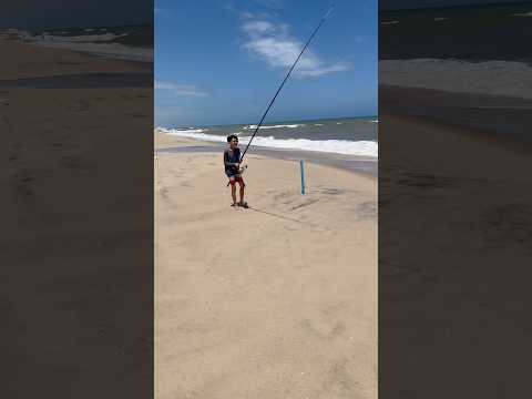 Pescaria de roncador na praia